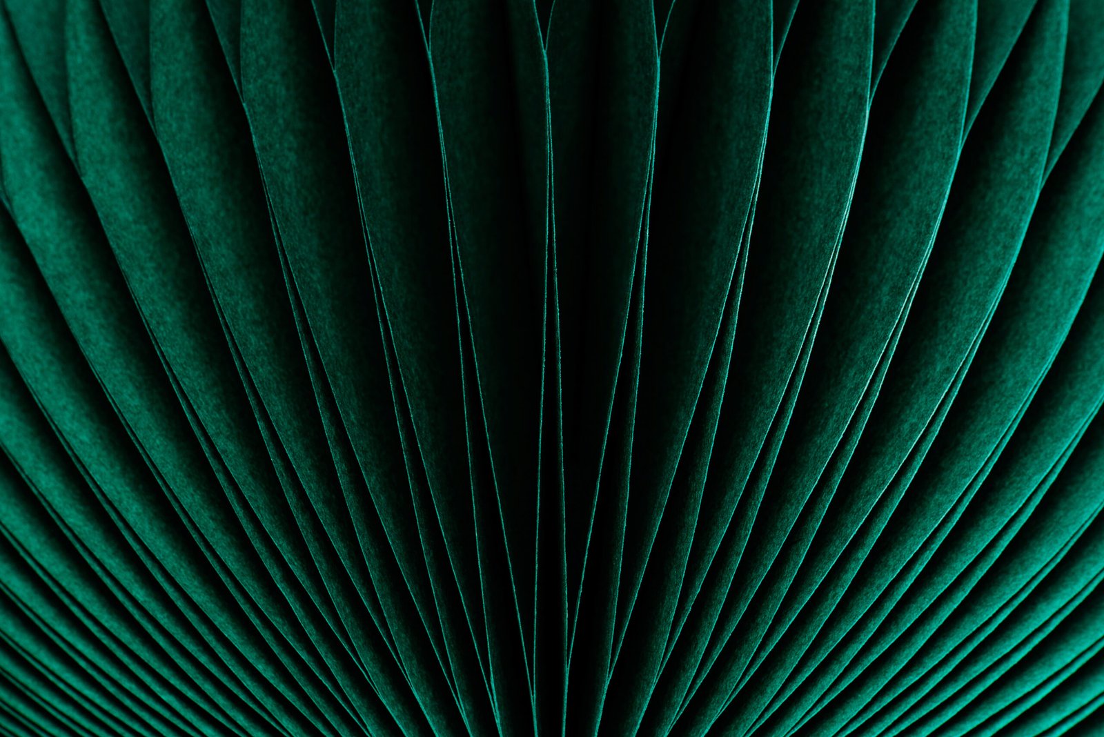 Para líderes ocupados que requieran gestión financiera simplificada.